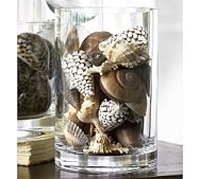 String Seashells for Hanging Wind Chimes