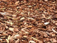 Make Wood Shavings