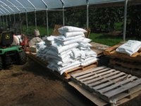 The Effects of Fertilizer on Plant Growth
