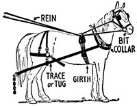 Parts of a Horse Driving Harness
