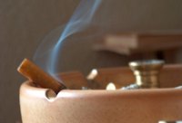 Effects of Cigarette Smoke on Plants