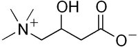 What Are the Benefits of Carnitine?