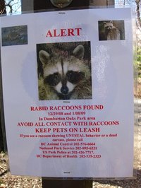 Signs and Symptoms of Human Rabies