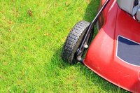 Homemade fertilizer can give you green grass.