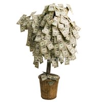 40th Birthday Money Tree Ideas