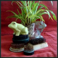 Why Frogs for Flower Arrangements Are Called Frogs