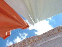 Put up a clothesline.