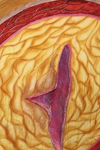 The Role of Cholesterol in Cell Membranes