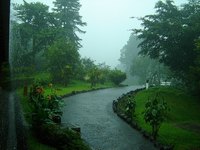 What Is the Weather Like in June in Costa Rica?