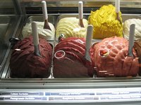Gelato Nutrition Information