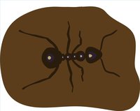 Chocolate-Covered Ant is delicious.