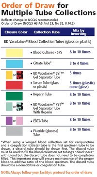 What Is the Order of Draw in Phlebotomy?