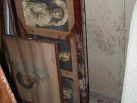 Signs & Symptoms of Water Damage & Mold in a Home