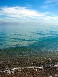 Why Can't You Drink Salt Water?