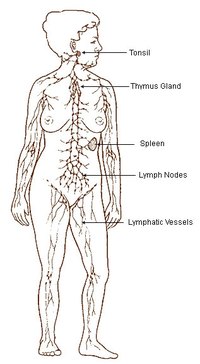 Prognosis for Non-Hodgkins Lymphoma Treated With Chemotherapy