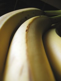 What Are the Causes of Low Potassium Levels in Pregnancy?