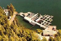 Salmon Fish Farming