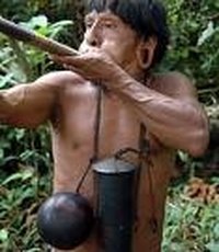 How Fast Does a Blowgun Dart Travel?