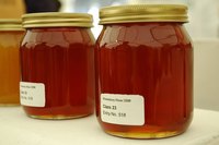Calories in Honey Vs. Sugar