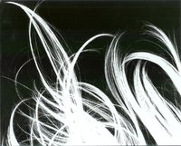 What Are the Three Stages of Hair Growth?
