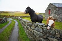 Composted horse manure is useful for improving garden soil.