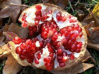 Pomegranate Juice vs. Pomegranate Extract