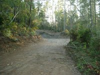 Clearing land