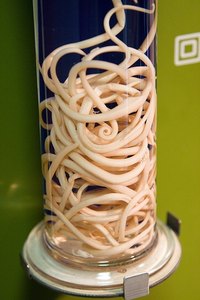 Worms Found in Humans