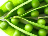 Lean and green means one lean meat and one approved veggie.
