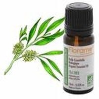 Heal Insect Bites With Tea Tree Oil