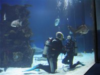 Scuba divers are at risk of developing oxygen toxicity.