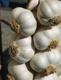 Preserve Garlic for a Long Time