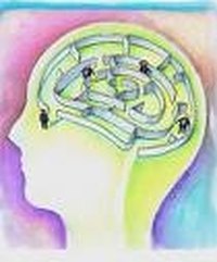 Cognitive Ability