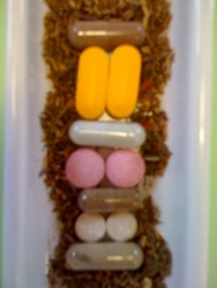 Supplements to Increase Breast Size Fast