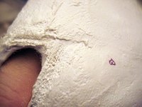 You can use plaster strips instead of plaster of Paris to make crafts.