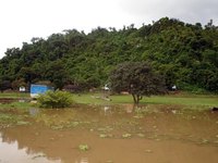Deforestation in the Amazon contributes to global warming.