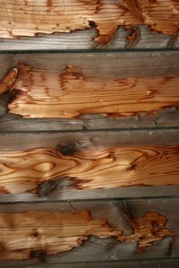 Green wood is easy to manipulate due to its soft nature.