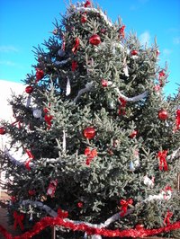 Christmas Tree Decorating Contest