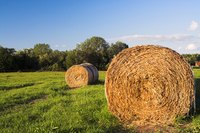 Mini-hay bales are easily made and add a lovely, decorative touch to a festive meal.