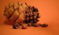 Red cedar and aromatic cedar are North American species.