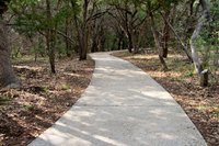 Use oxygen bleach to clean mold off of your sidewalk.