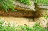 Soil profiles classify the different layers of soil sitting atop the bedrock.