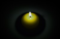 If you love candles, learn to make your own using bayberry wax.