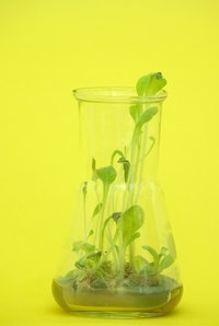 Bright paint colors liven up any lab.