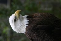 Printing pictures such as this one on poster paper, will come out clear and precise as in this photo.