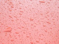 Water beads on waterproof fabrics.