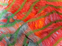 Dress up a scarf by braiding it.