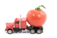 Food service companies are responsible for delivering food.