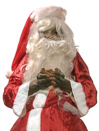 Costume with beard made of fake fur.