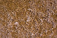 Turn a nuisance into a commodity by learning how to use wood shavings.